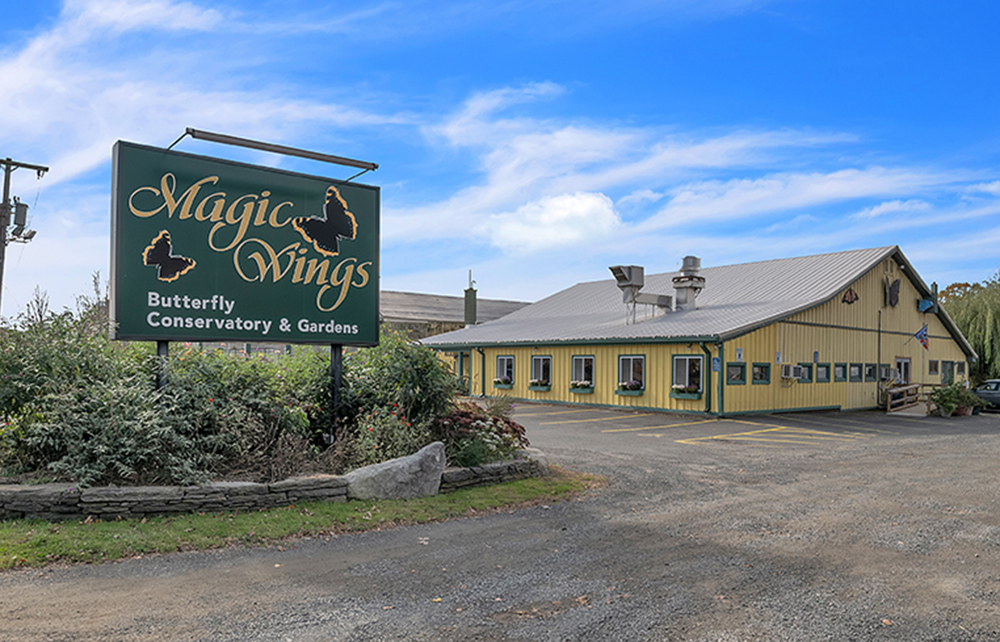 SR Commercial brokers sale of Magic Wings Butterfly Conservatory